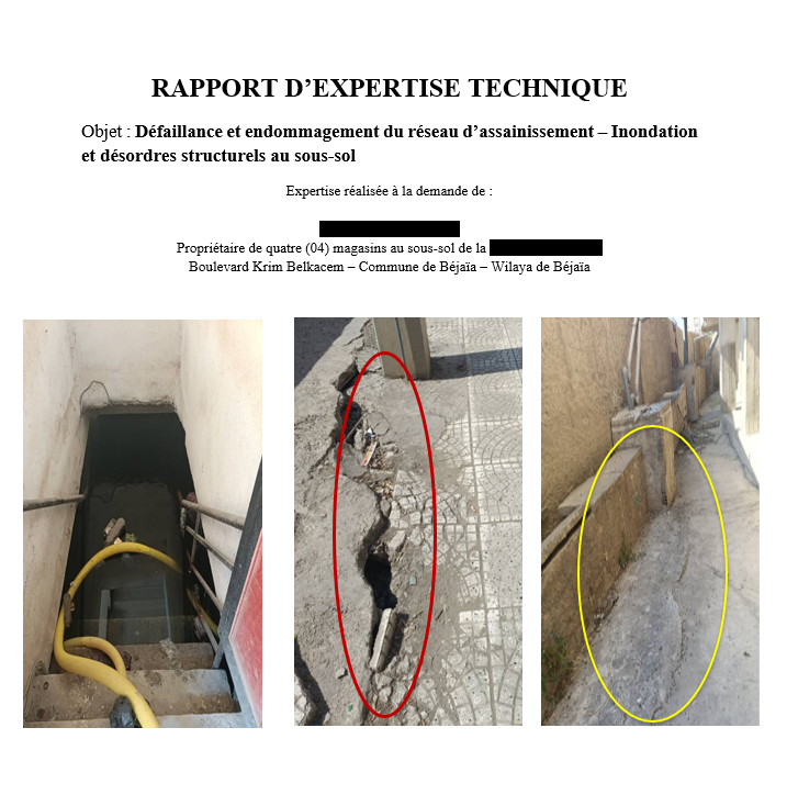 Expertises